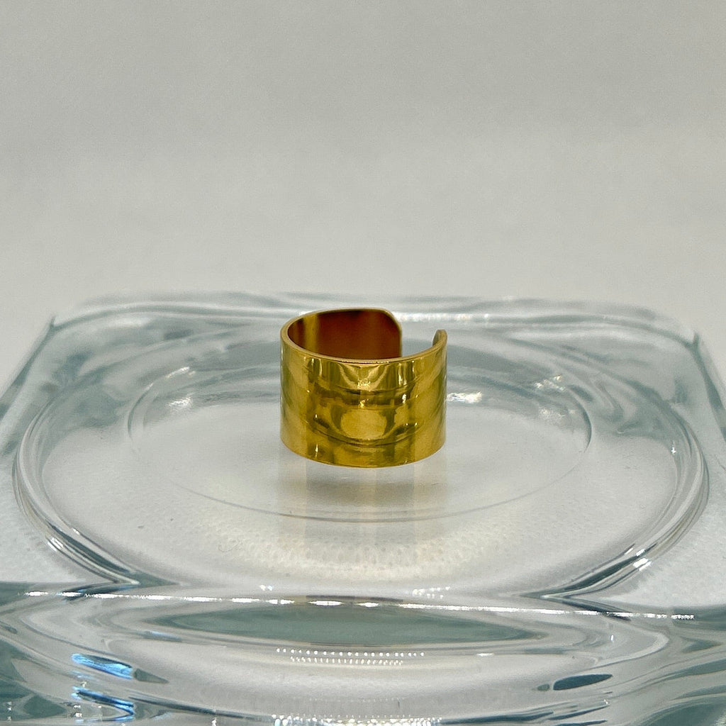 Minimalist Adjustable Wide Band Ring