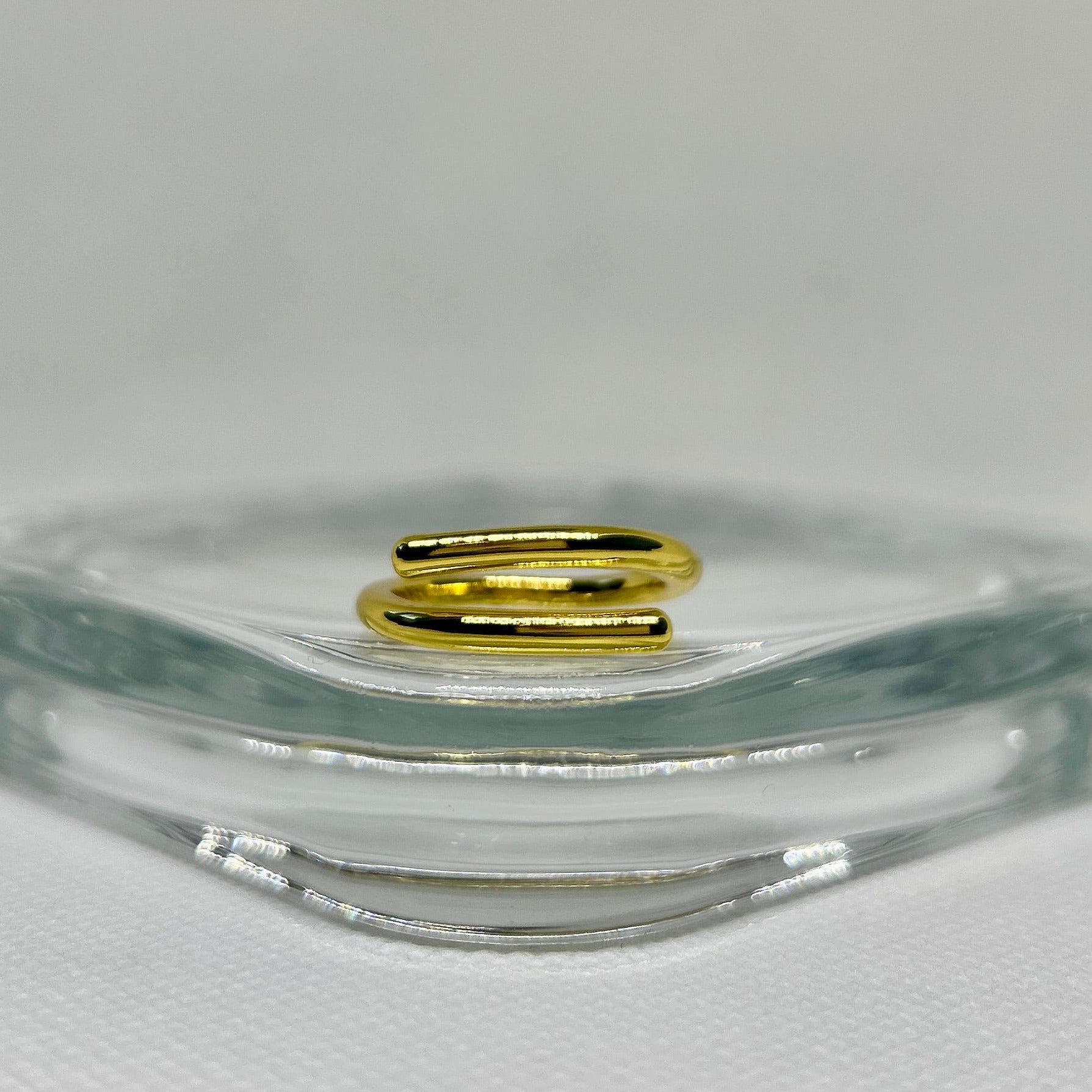 The Parallel Band Ring